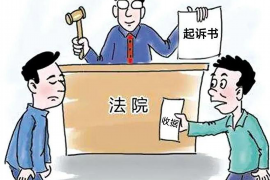 靖安如何避免债务纠纷？专业追讨公司教您应对之策